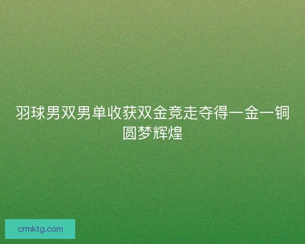 羽球男双男单收获双金竞走夺得一金一铜圆梦辉煌