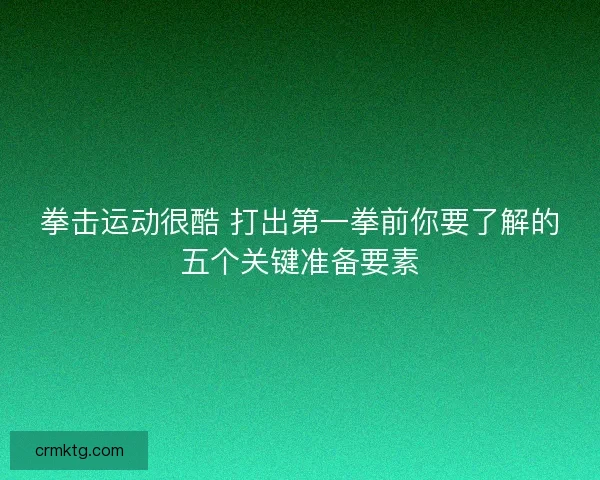 拳击运动很酷 打出第一拳前你要了解的五个关键准备要素